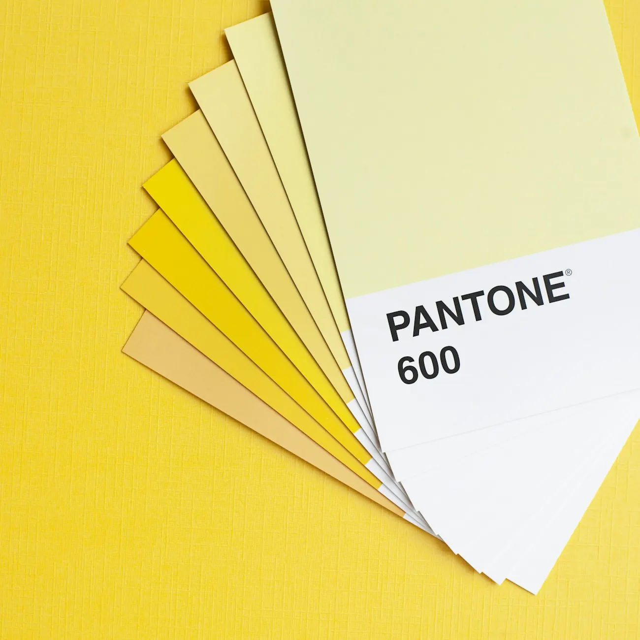 Fan of yellow Pantone colour swatches